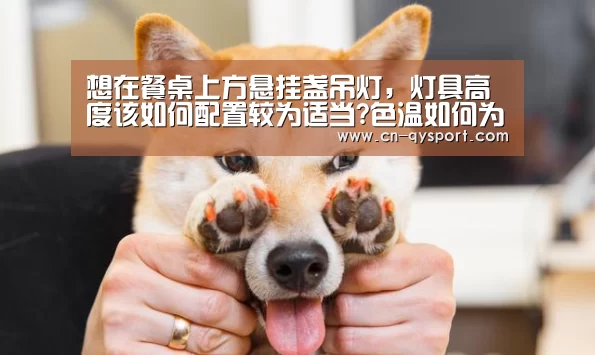 想在餐桌上方悬挂盏吊灯,灯具高度该如何配置较为适当?色温如何为佳?_球友会平台为您提供全网最全的体育赛事直播与专业的在线投注服务。高赔率、安全快捷,立即注册体验!(图1) 球友会平台为您提供全网最全的体育赛事直播与专业的在线投注服务。高赔率、安全快捷,立即注册体验!